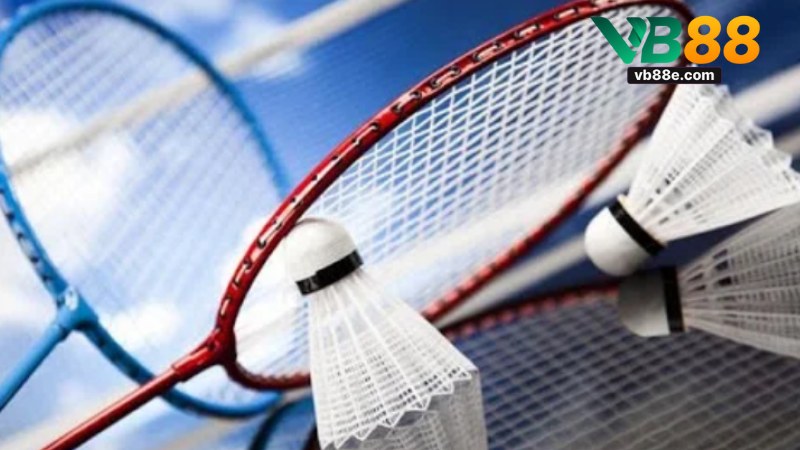 Cá Cược Cầu Lông