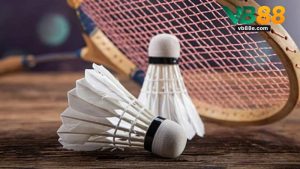 Cá Cược Cầu Lông