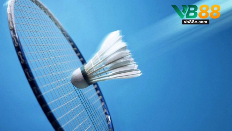 Cá Cược Cầu Lông